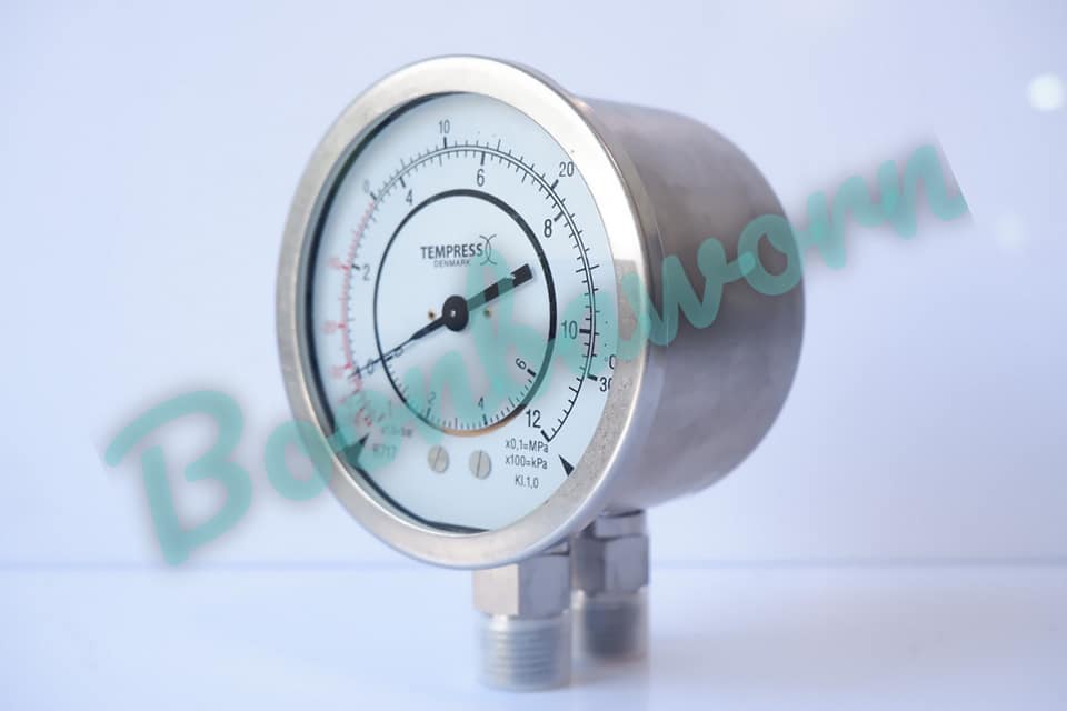 TEMPRESS Differential Pressure gauge DN80/100
