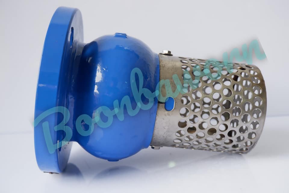 Foot Valve