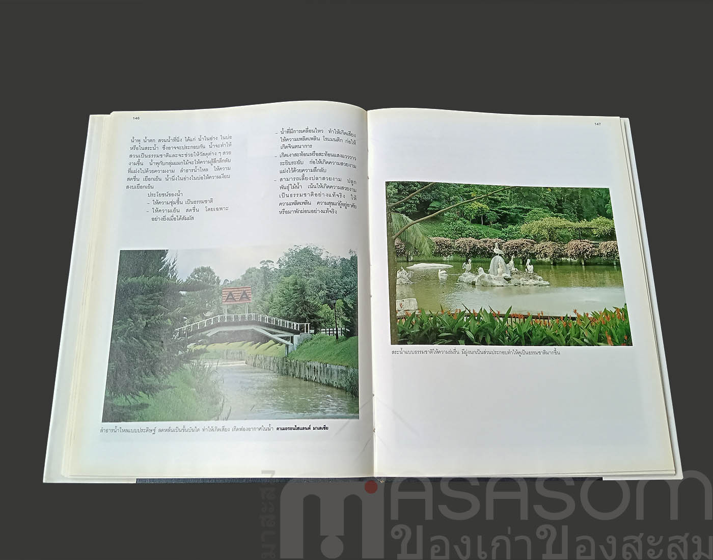 หนังสือการจัดสวน