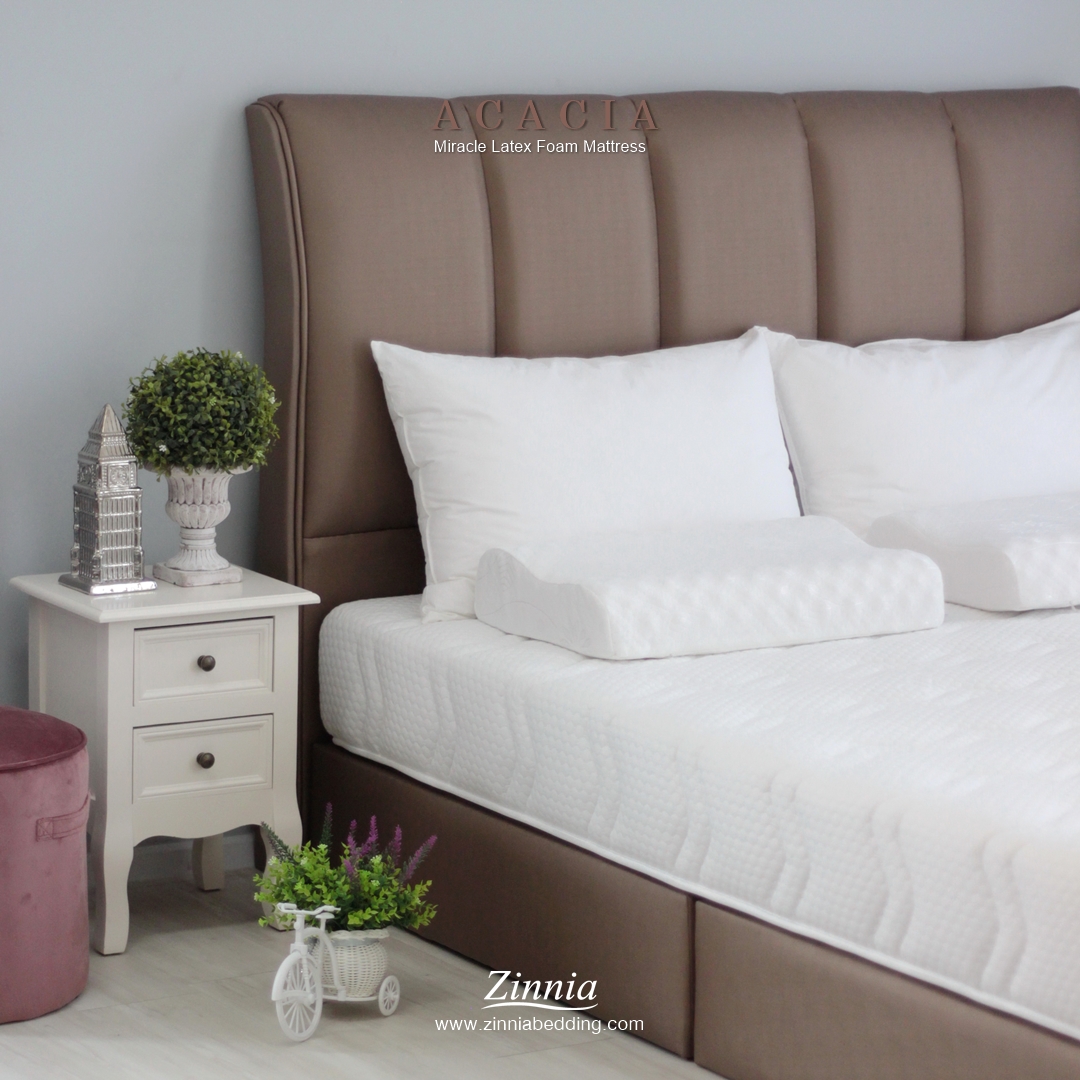 ที่นอน รุ่นACACIA