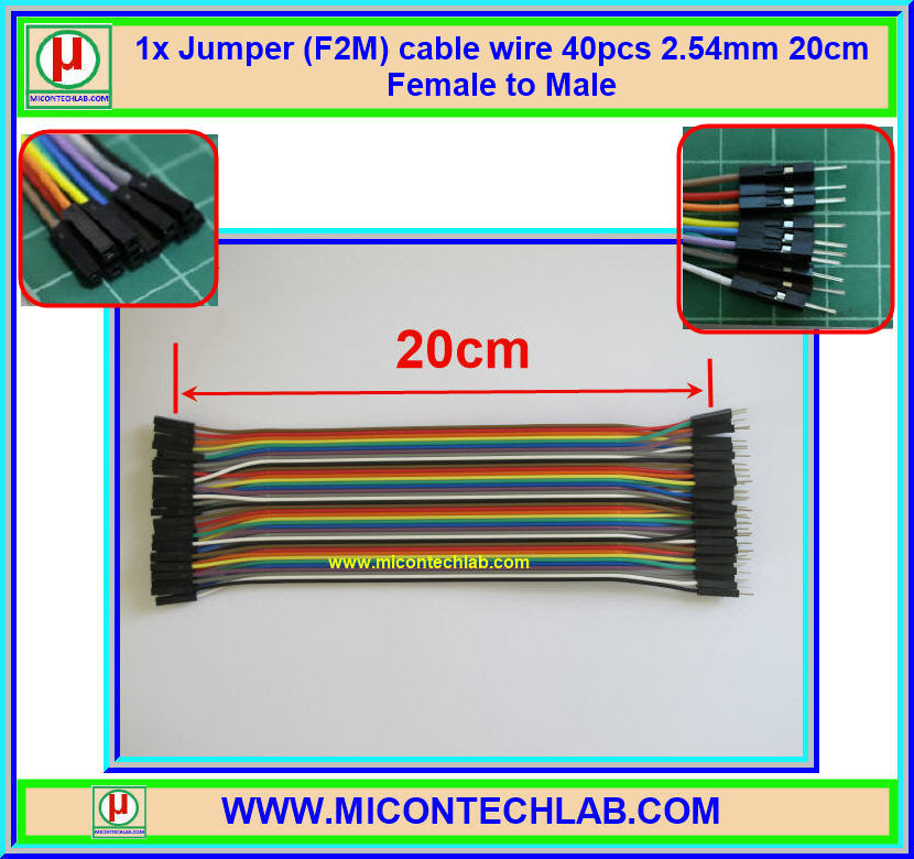 1x จั๊มเปอร์ปลายผู้เมีย (F2M) 40 เส้น 20 ซม. (Jumper)
