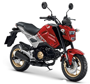 ชุดสี MSX125i SF (2018)