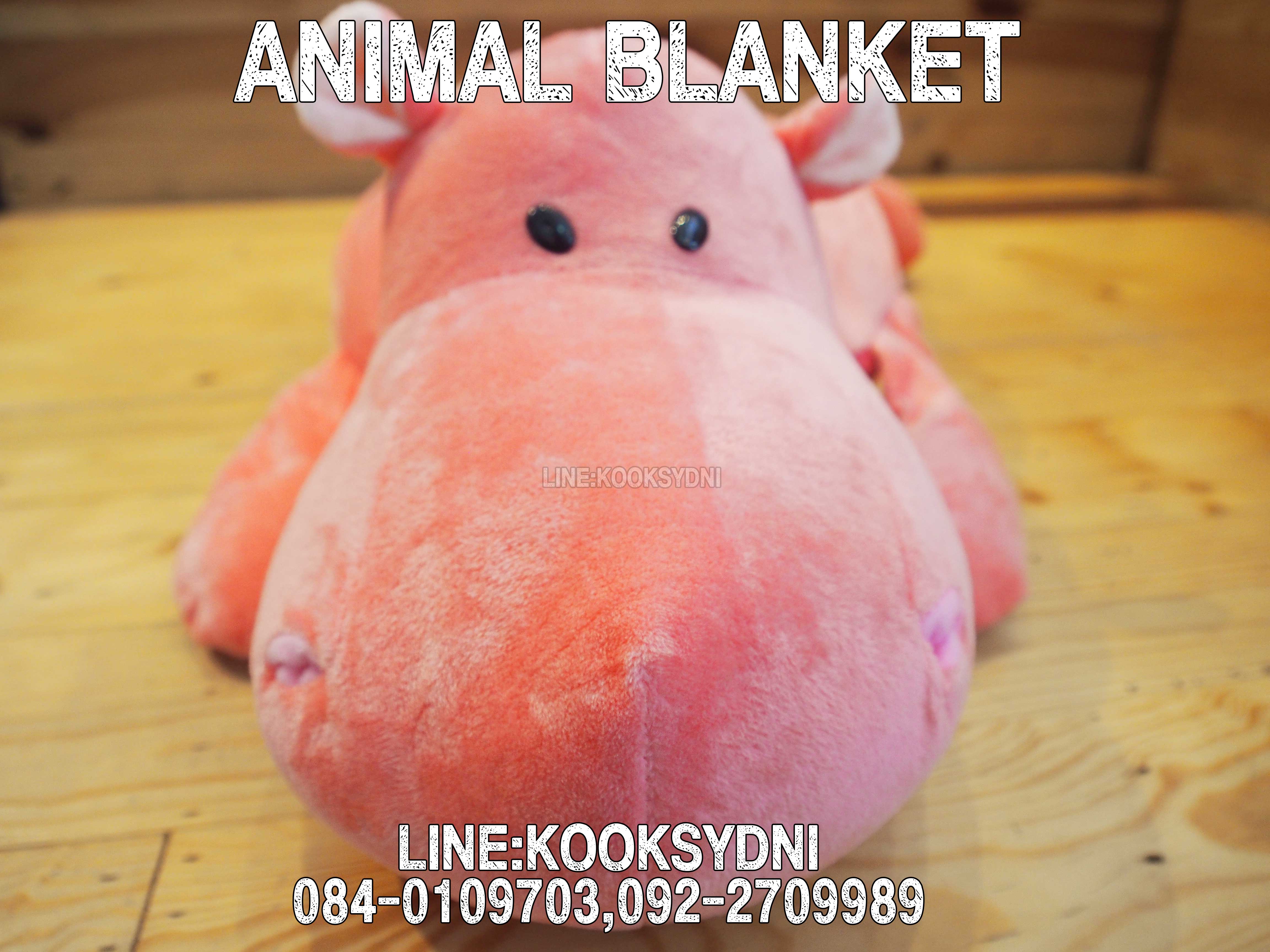 HIPPOPOTAMUS PINK ฮิปโปโปเตมัสสีชมพู