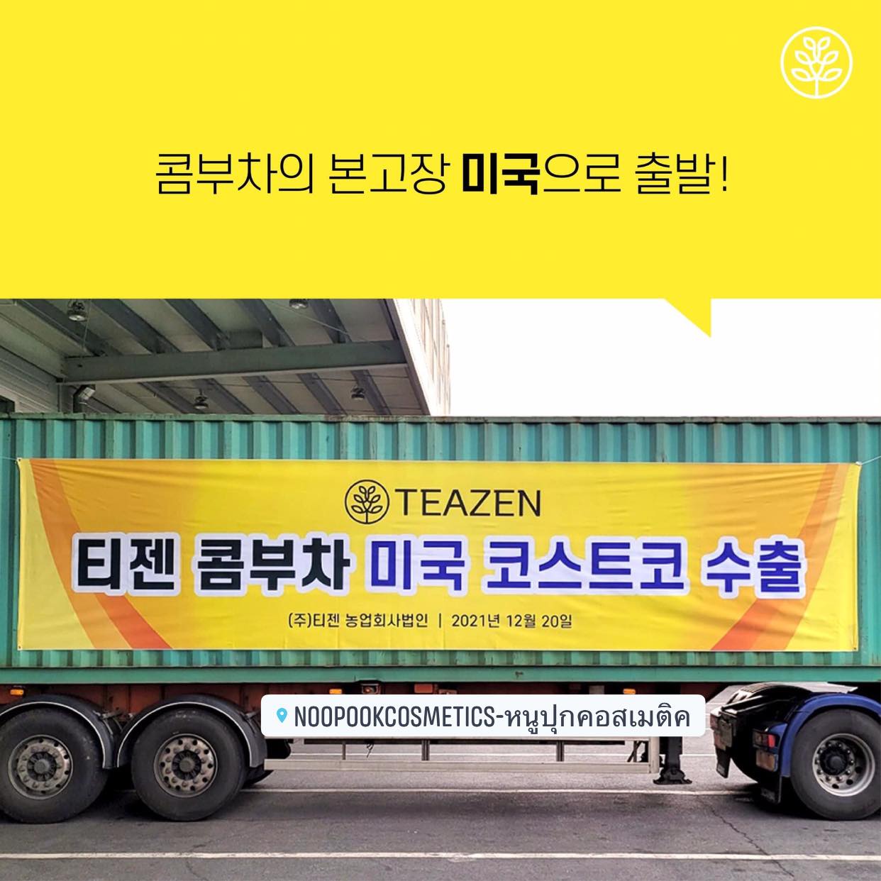 ชาคอมบูขา รสเลมอน ขายดีสุด เป็นที่นิยมของไอดอล ดารา กองถ่ายซีรี่ย์เกาหลี TEAZEN KOMBUCHA ชาคอมบุชา ชาหมักเกาหลีที่ขายดีที่สุด