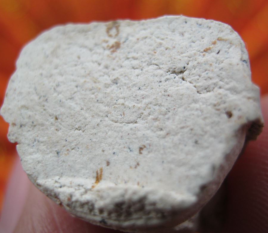 รูปหล่อเนื้อผงพุทธคุณรุ่นแรก หลวงพ่อกิตติศักดิ์ กิตติสาโร วัดป่าหนองหลุบ จ.ขอนแก่น