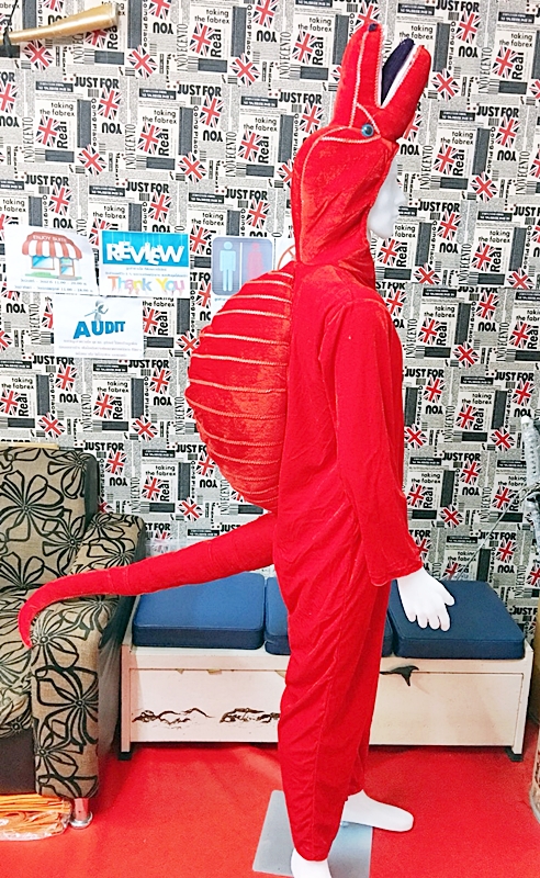 ชุดไดโนเสาร์ผู้ใหญ่ แบบต่าง ๆ