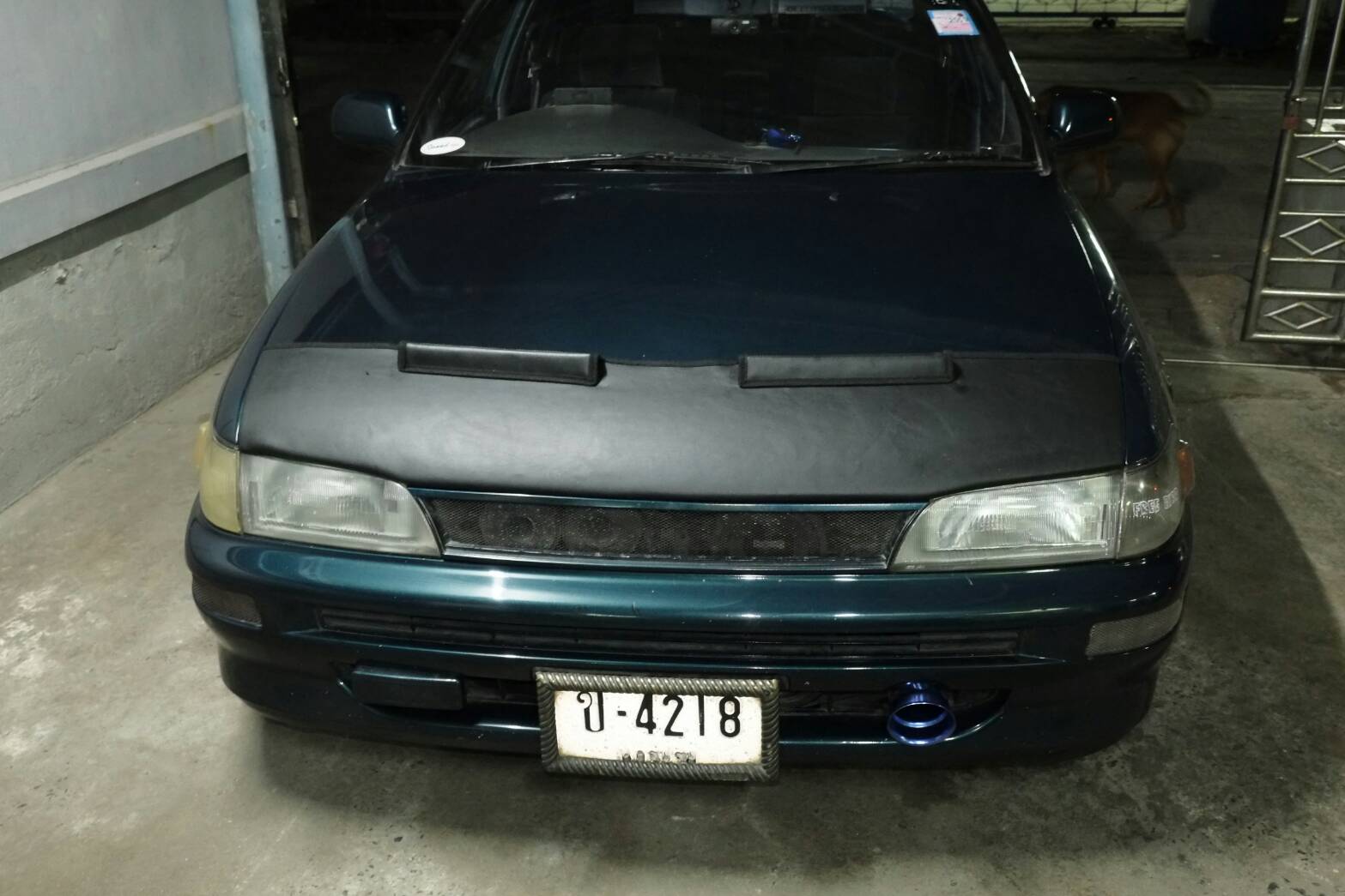 TOYOTA ผ้ากันแมลง หน้ากากกันแมลง BRA CAR สไตล์ อเมริกา