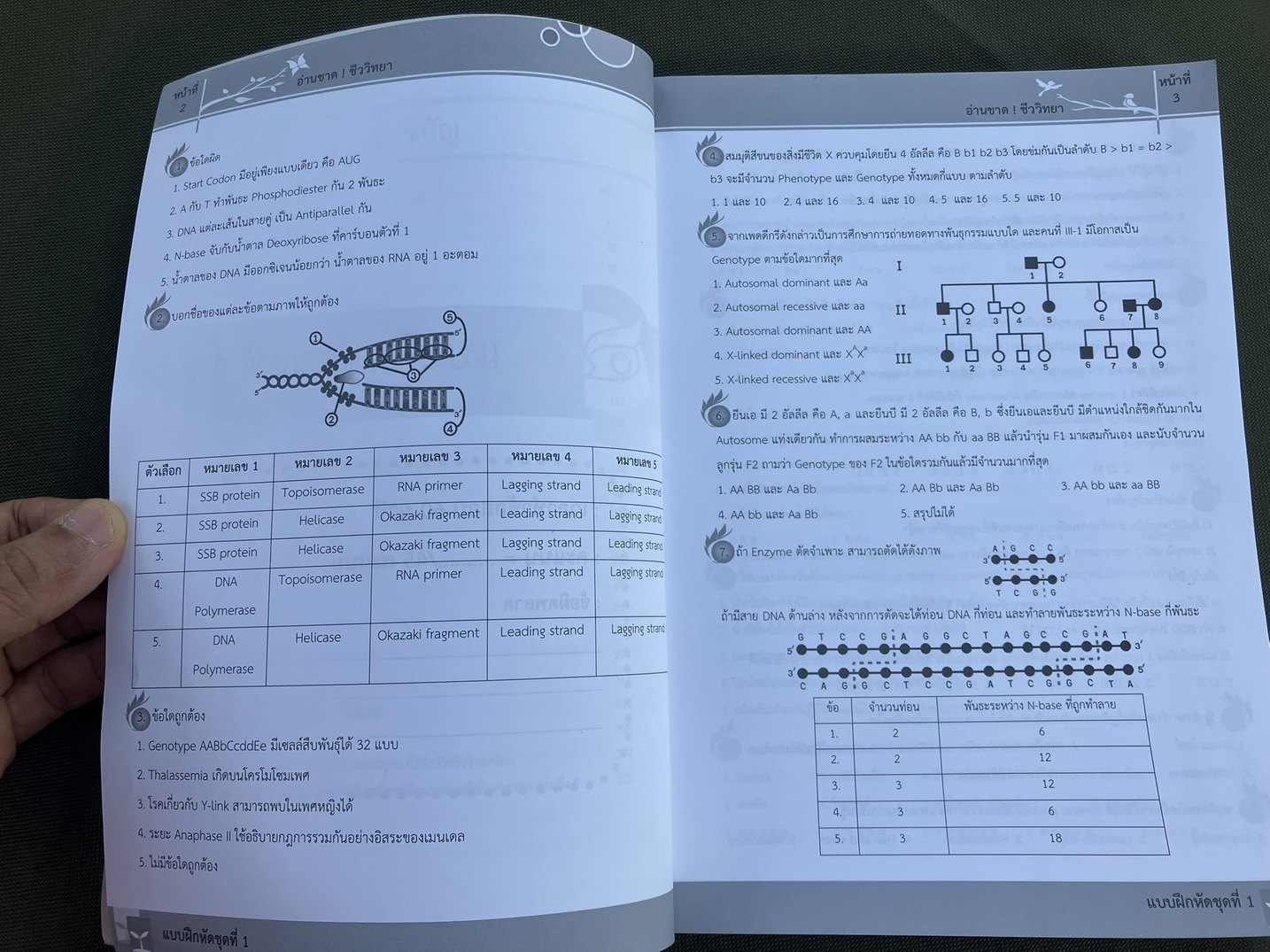 อ่านขาด! ชีววิทยา (7 วิชา PAT2 สอบตรงทั่วประเทศ)