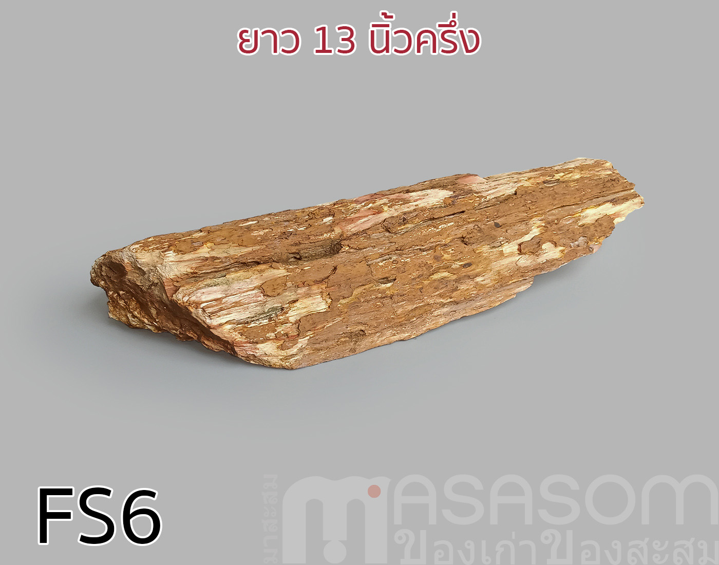 ฟอสซิลไม้กลายเป็นหิน(Petrified Wood)