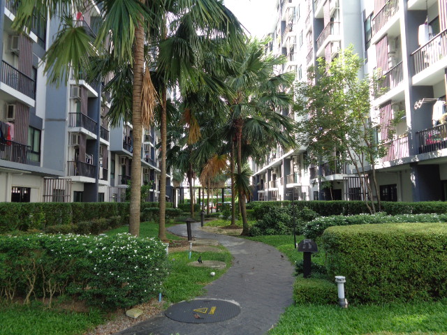 H1116 ขายด่วน ไอคอนโด สุขาภิบาล2 31.05 ตร.เมตร ถนนเสรีไทย แขวงคลองกุ่ม เขตบึงกุ่ม ติดถนนเสรีไทย อยู่ชั้น3 ขายถูกพร้อมแอร์เฟอร์