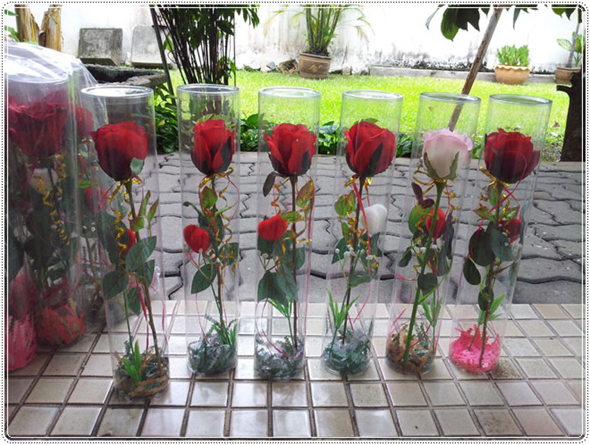 กล่องกลม-ดอกไม้วาเลนไทน์ ขนาด 3 นิ้ว x สูง 20 นิ้ว (7.5 x 50 cm)