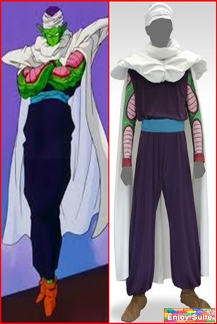 ชุดพิคโกโร่