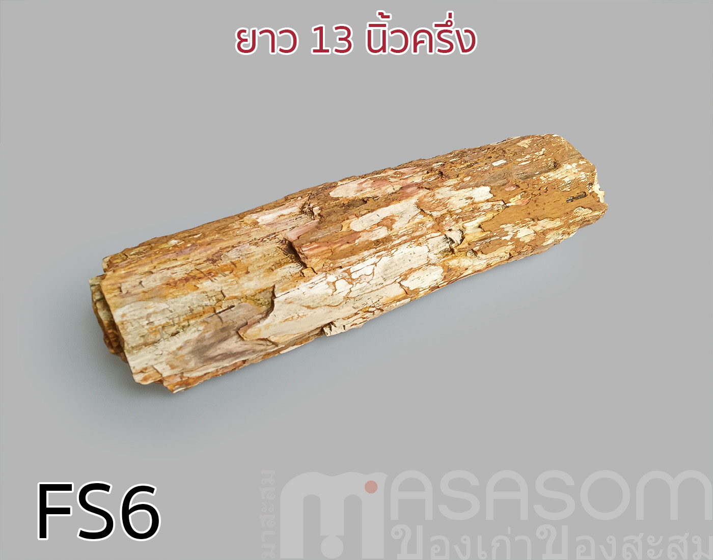 ฟอสซิลไม้กลายเป็นหิน(Petrified Wood)