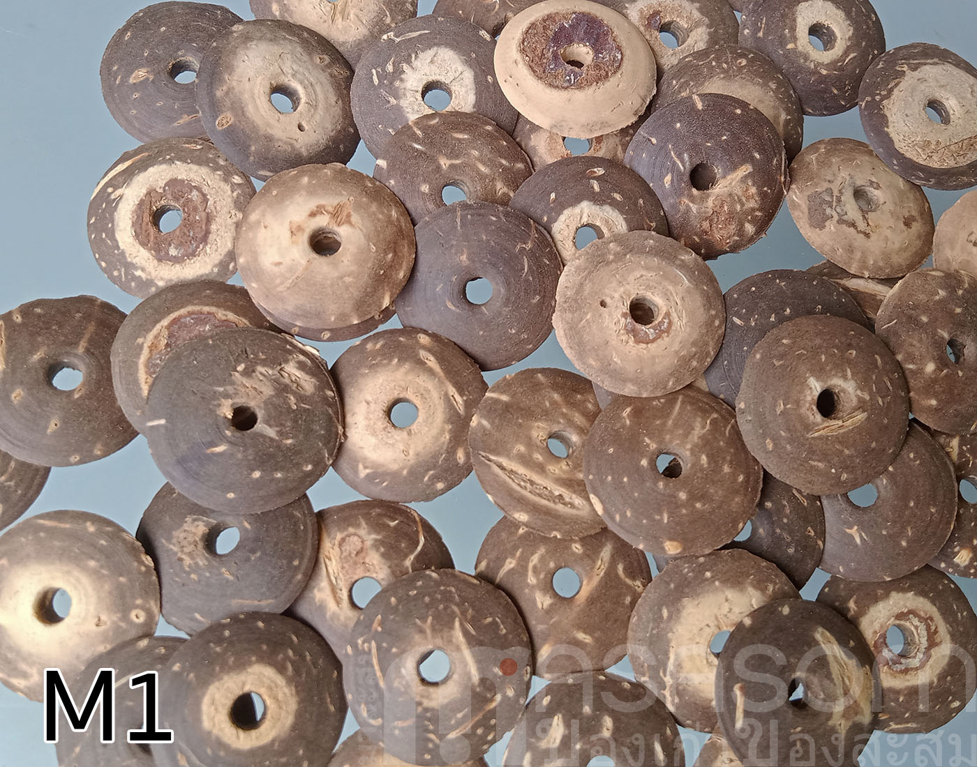 กระดุมกะลามะพร้าวรูเดียว