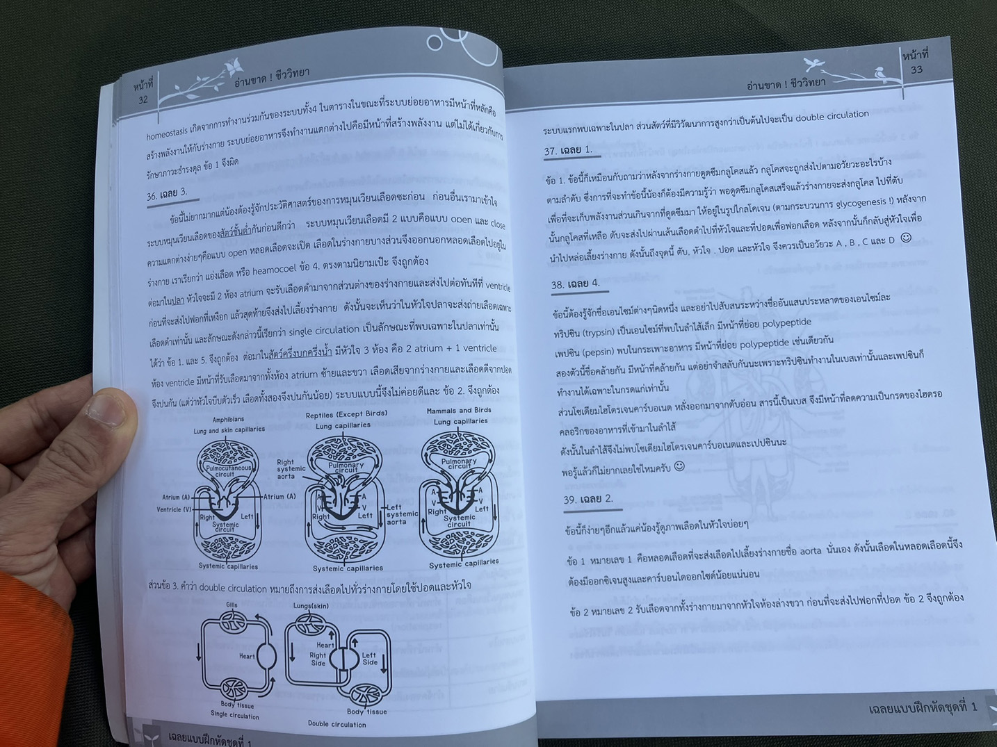 อ่านขาด! ชีววิทยา (7 วิชา PAT2 สอบตรงทั่วประเทศ)