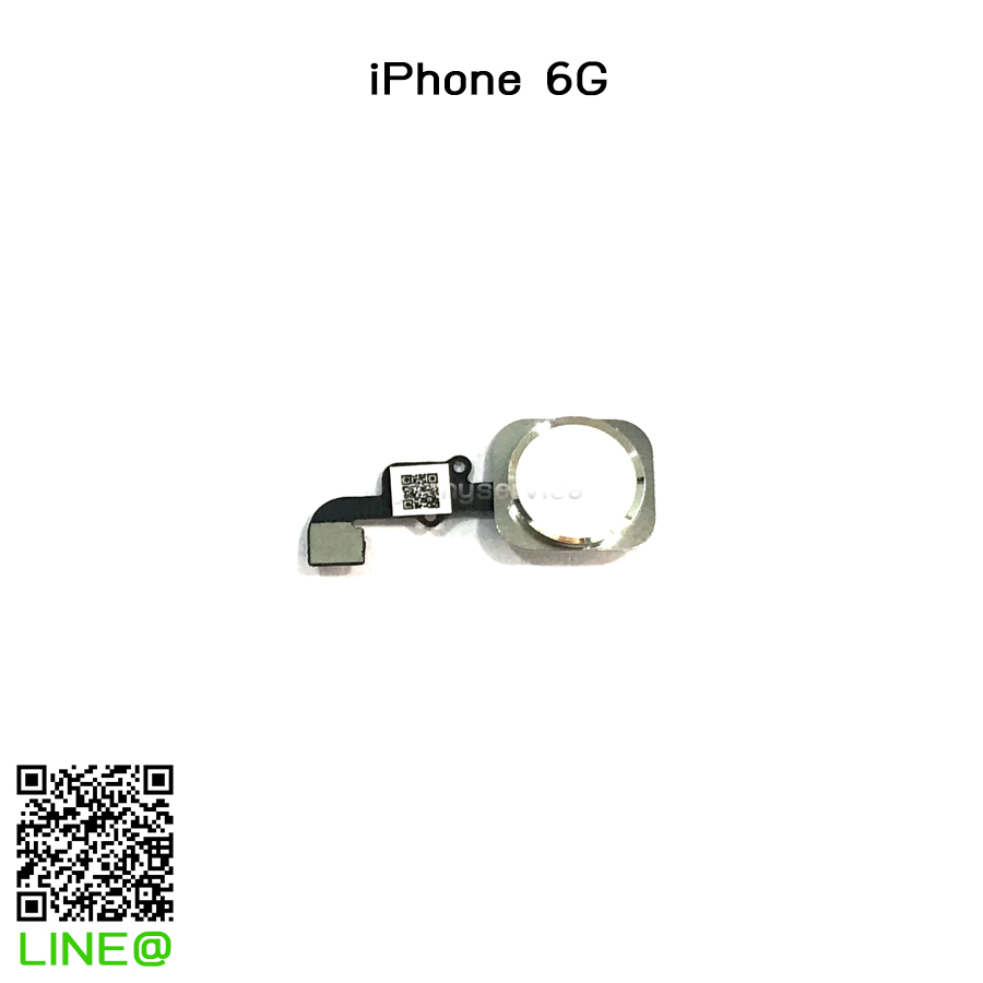 แพรปุ่มโฮม iPhone 6