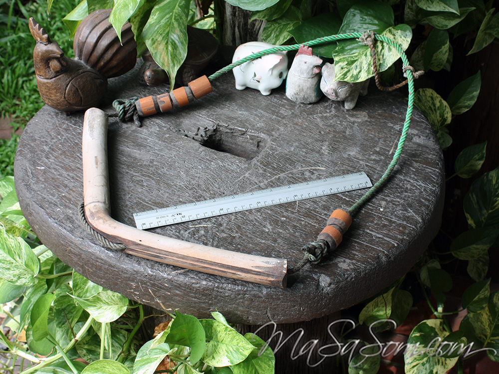 ทามผูกคอวัว