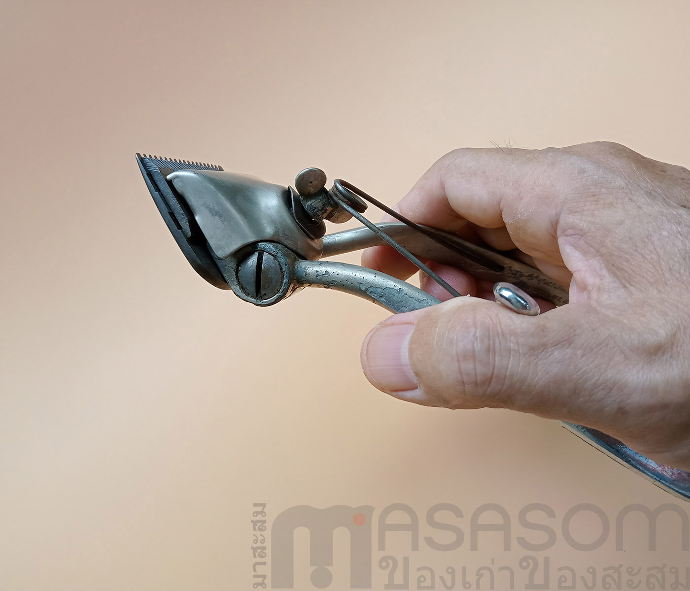 ปัดตาเลี่ยนมือเก่าอังกฤษ