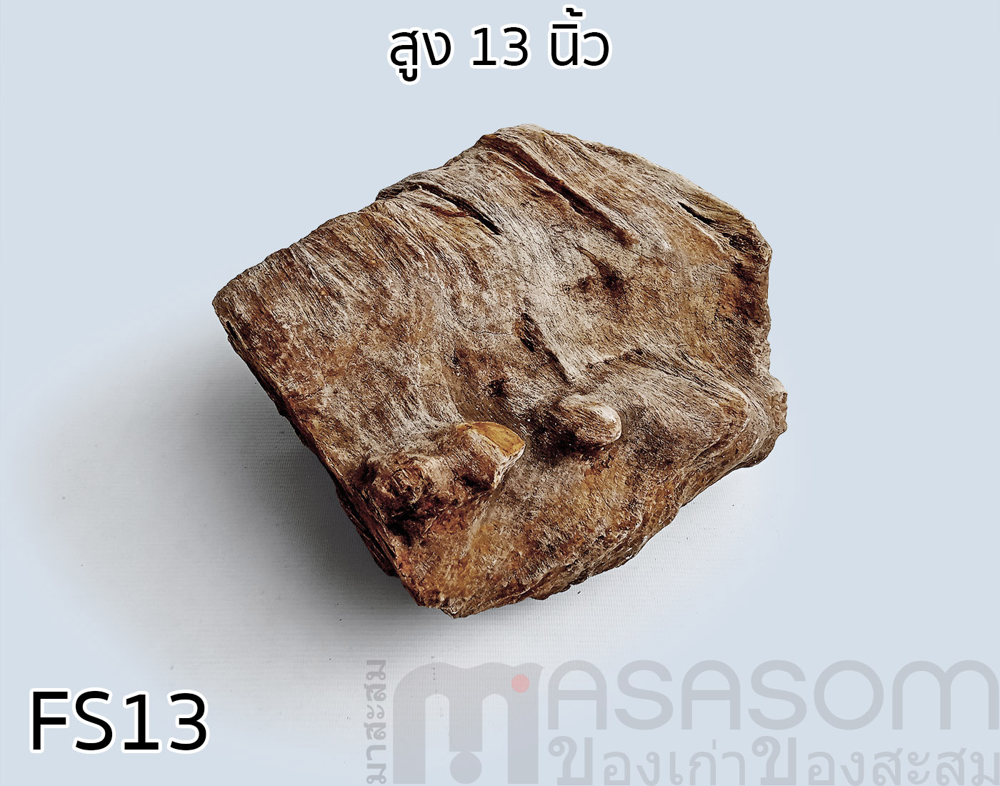 ฟอสซิลไม้กลายเป็นหิน (Petrified Wood)