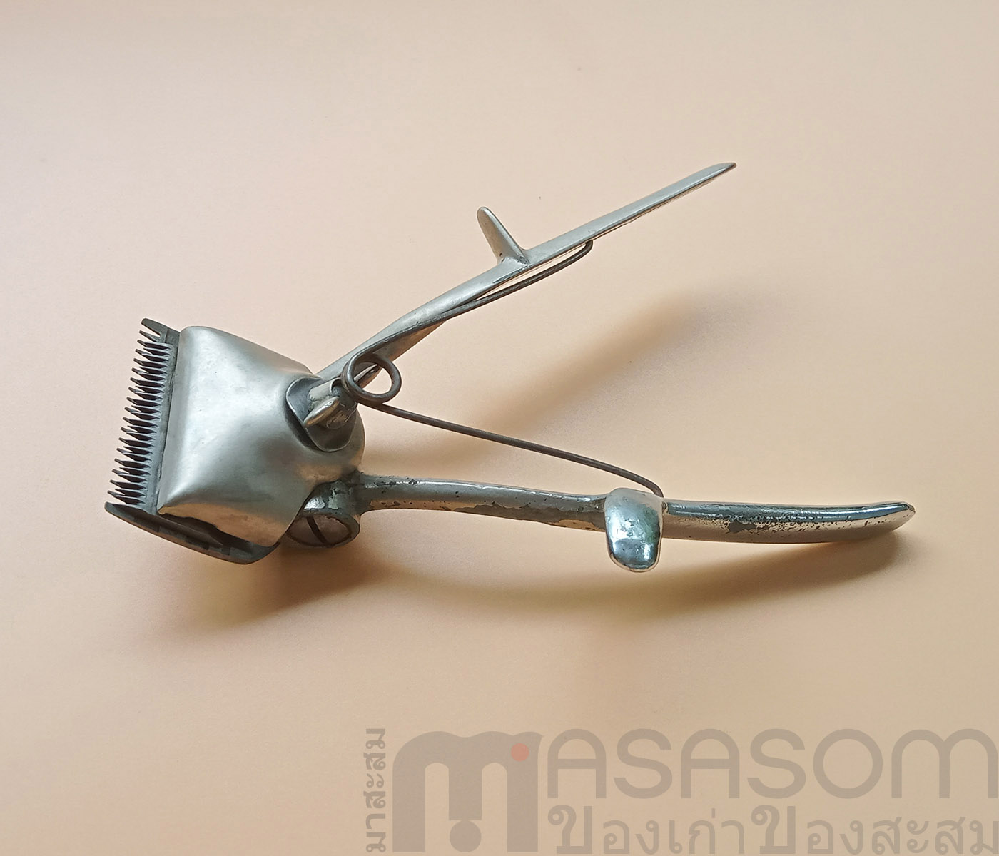 ปัดตาเลี่ยนมือเก่าอังกฤษ