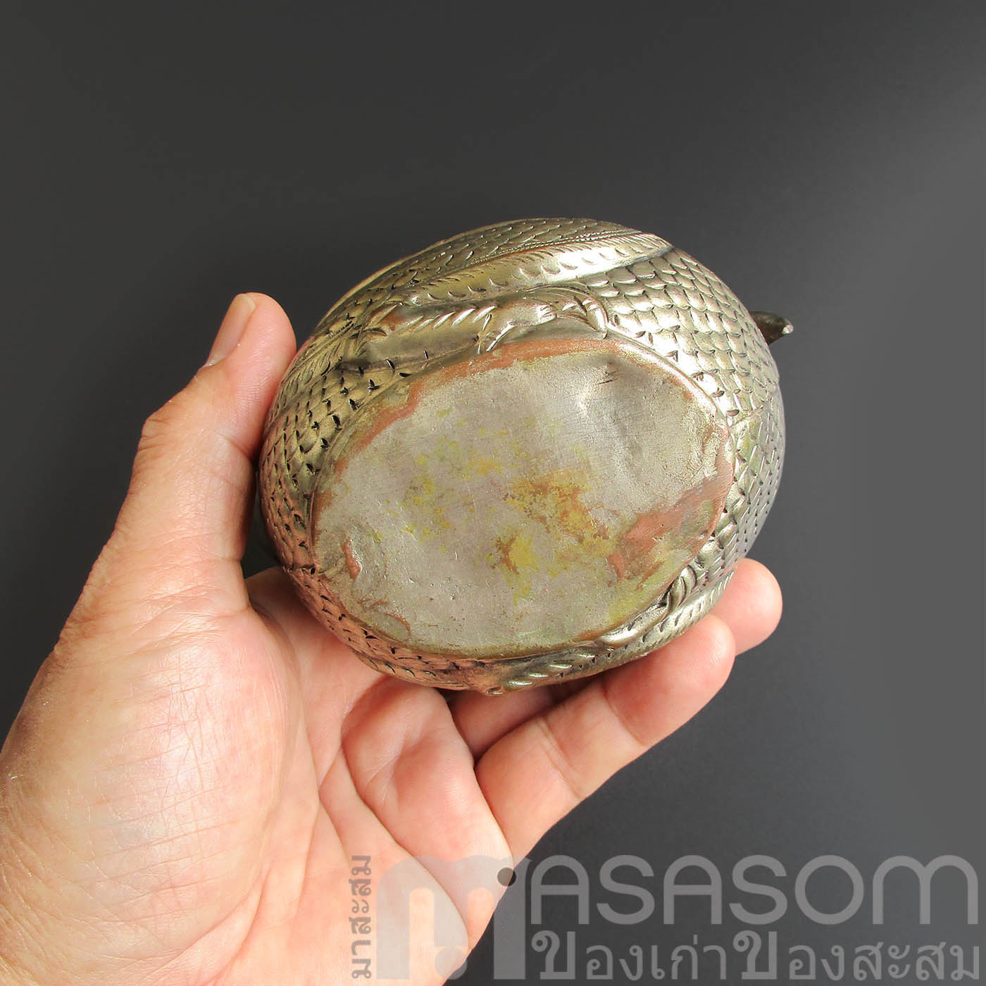 ตลับนกเงือกทองแดงกะไหล่เงิน