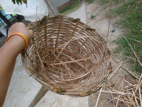ลักษณะของรังไก่ สำหรับให้ไก่ไข่