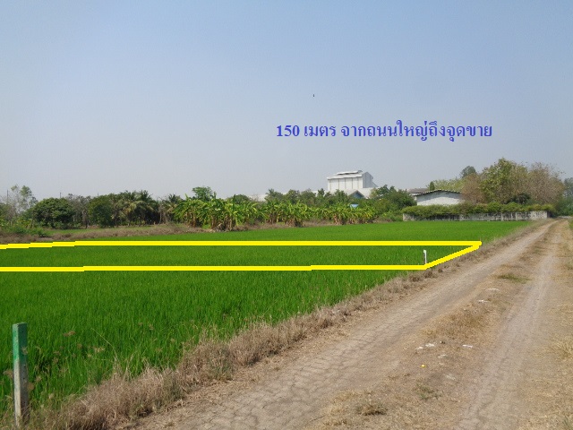 H1188 ขายที่ดิน 99 ตารางวา ใกล้วิทยาลัยเทคนิคนนทบุรี ถนนทางหลวงชนบท สาย3022 ตำบลราษฎร์นิยม อำเภอไทรน้อย นนทบุรี