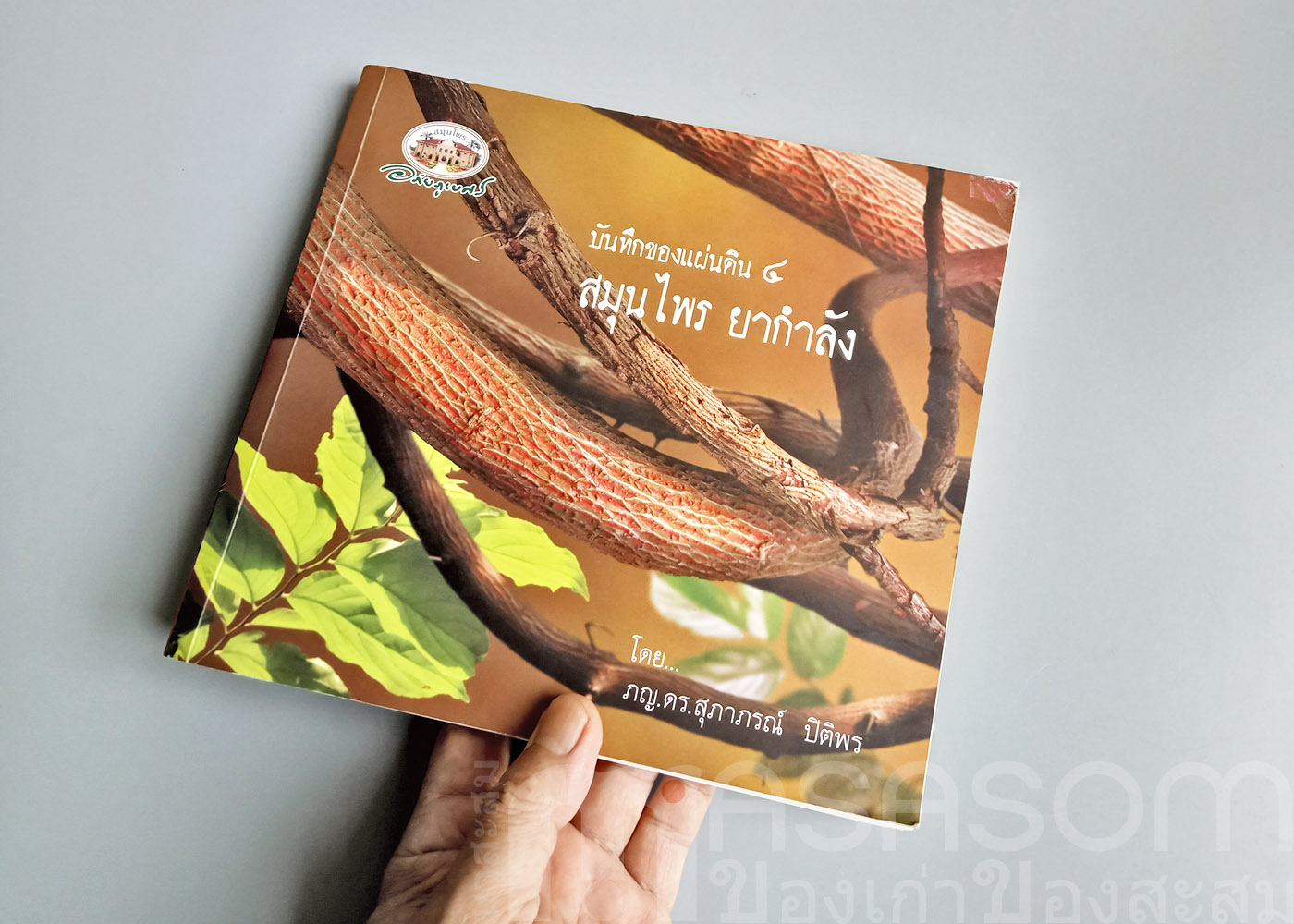 หนังสือสมุนไพร ยากำลัง