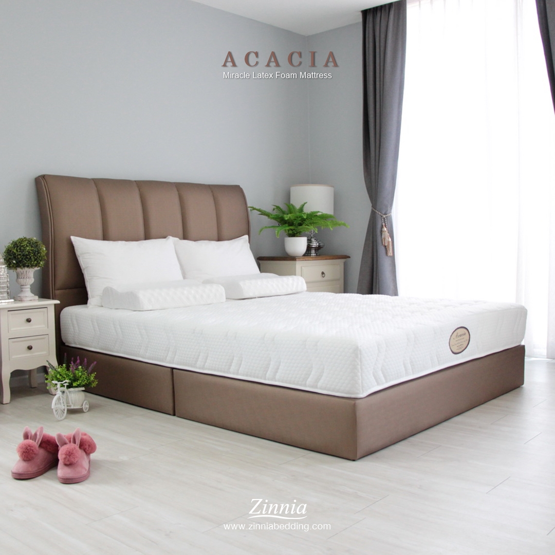 ที่นอน รุ่นACACIA