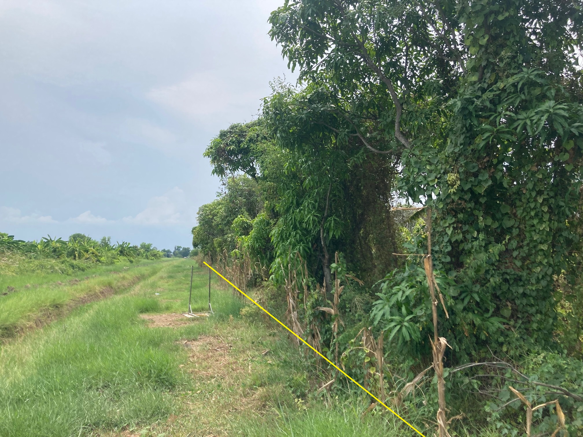 H1195 ขายที่ดินเปล่า 404 ตารางวา ใกล้วัดป่าคลอง11 ซอยร่มเย็น หนองเสือ ปทุมธานี เหมาะทำบ้านสวน