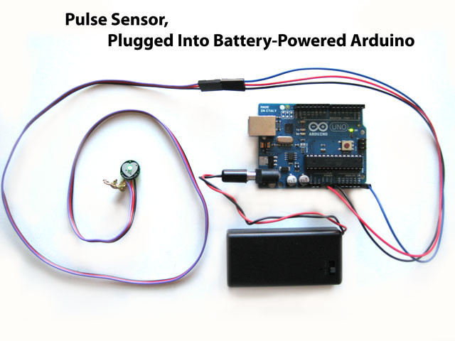 1x เซ็นเซอร์วัดอัตราการเต้น ชีพจร หัวใจ (Pulse Heart Rate Heartbeat Sensor)