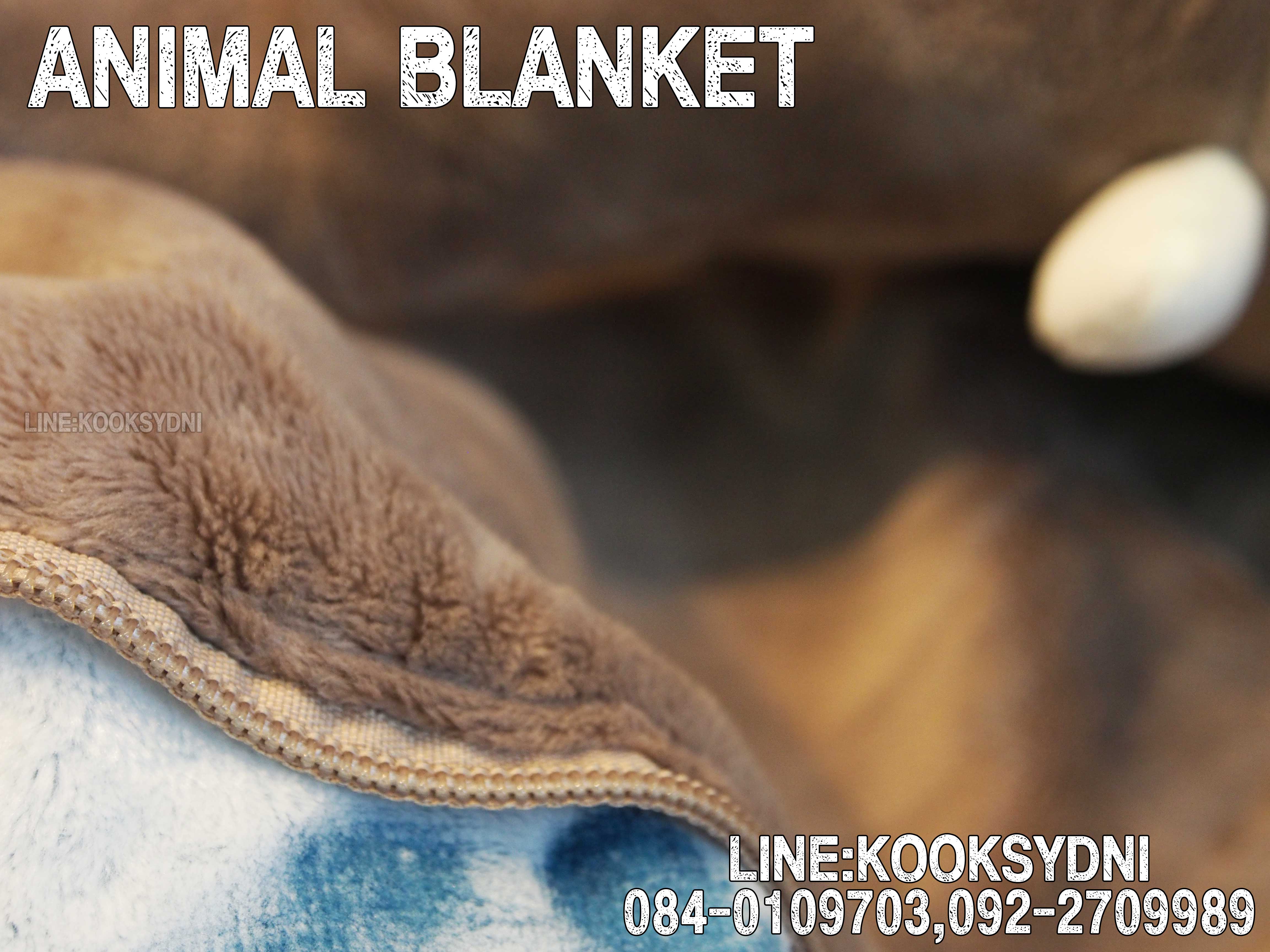 ANIMAL BLANKET ช้างช้างช้าง