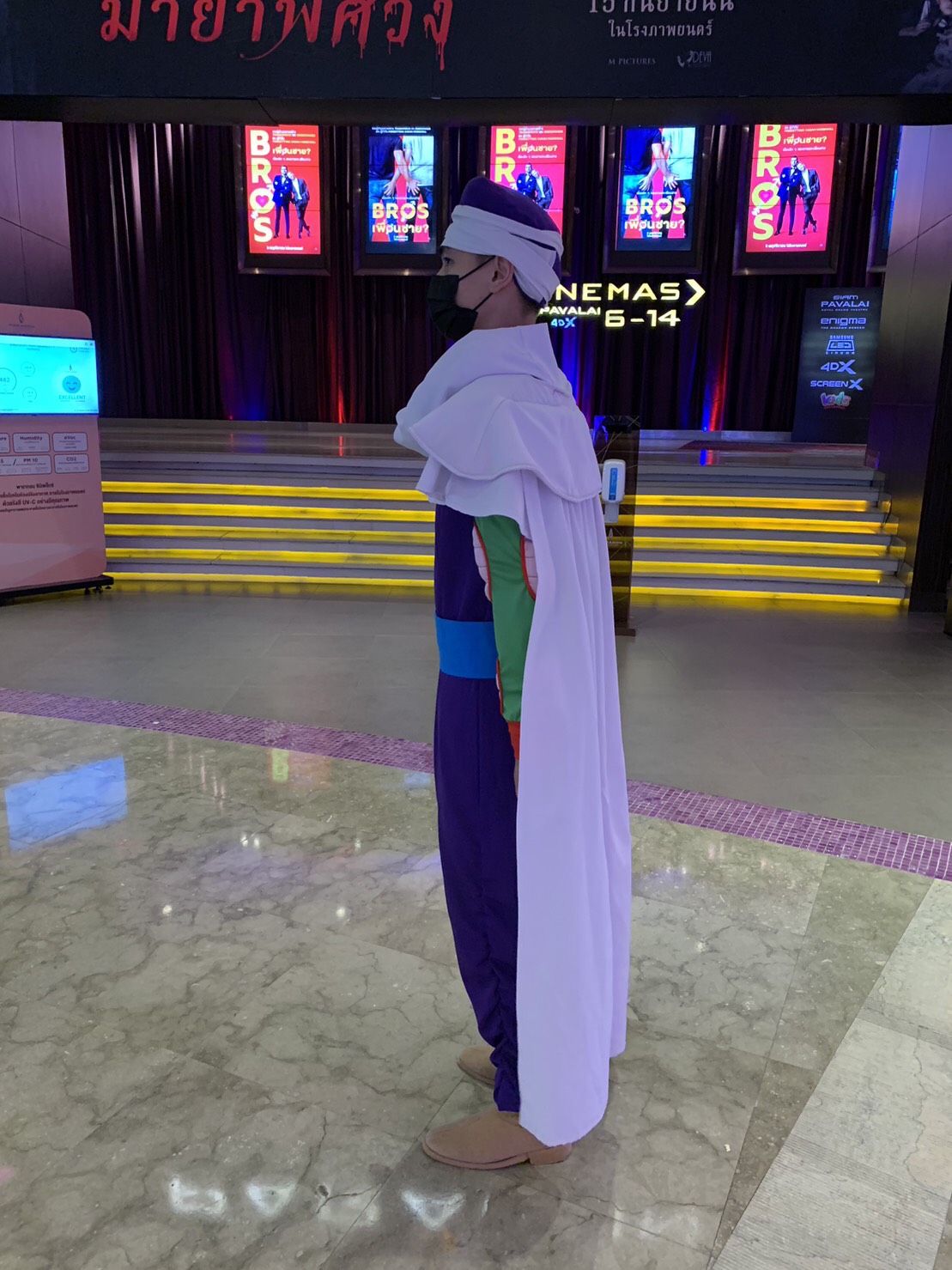 ชุดพิคโกโร่