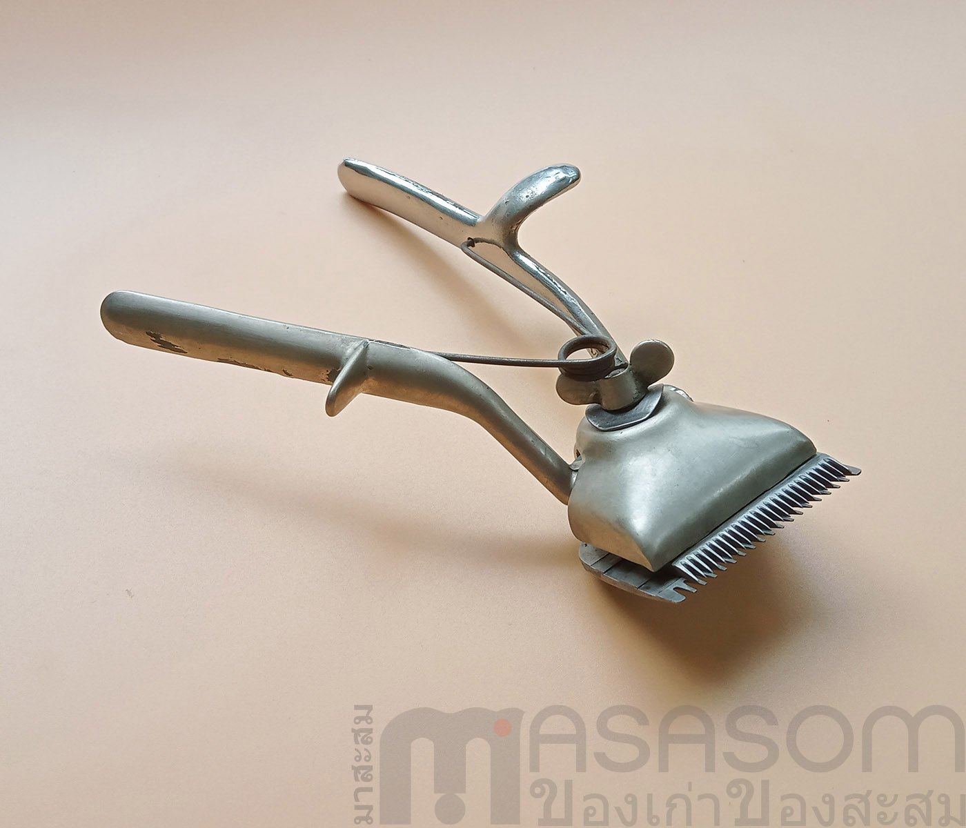 ปัดตาเลี่ยนมือเก่าอังกฤษ