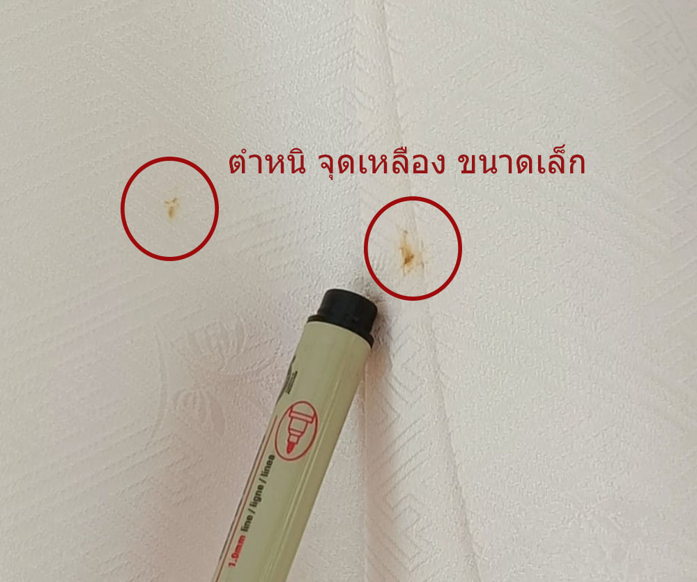 furisode kimono ขาว-ดำ001