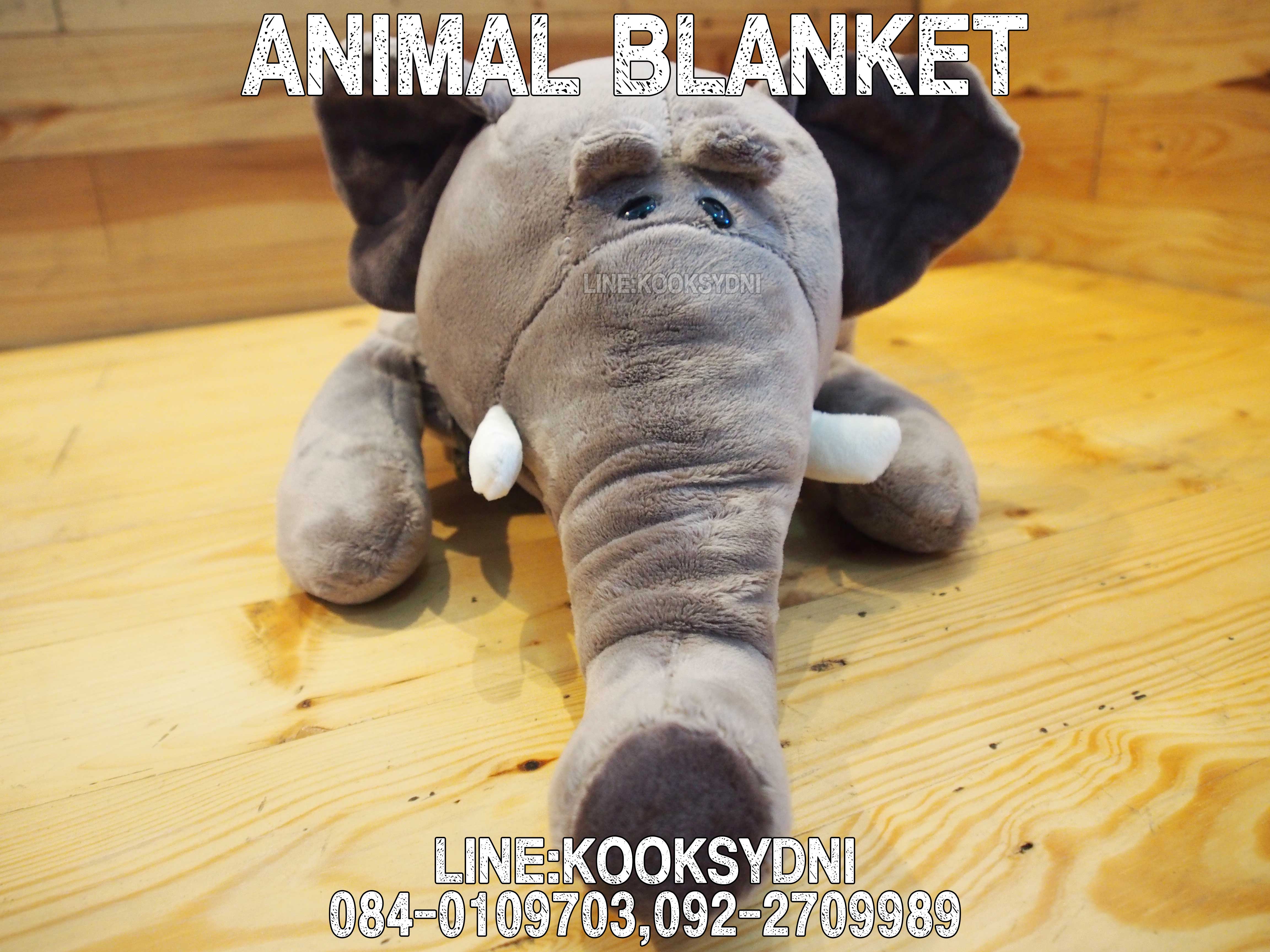 ANIMAL BLANKET ช้างช้างช้าง