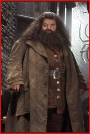 ชุดแฮกริต@ Harry Potter