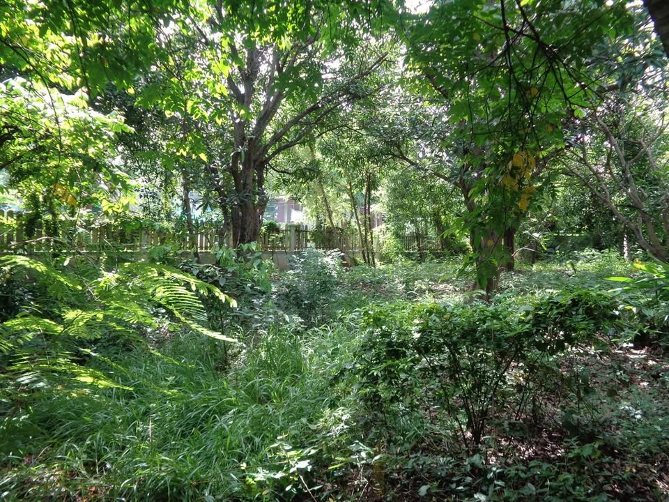 🚩H1273 ขายที่ดินทำเลดี ย่านธุรกิจ 4 -1 -68 ไร่ ติดถนนท่ามะนาว ใกล้ที่ว่าการอำเภอชัยบาดาล จังหวัดลพบุรี