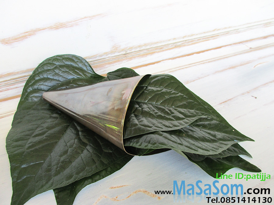 ซองพลูทองเหลือง