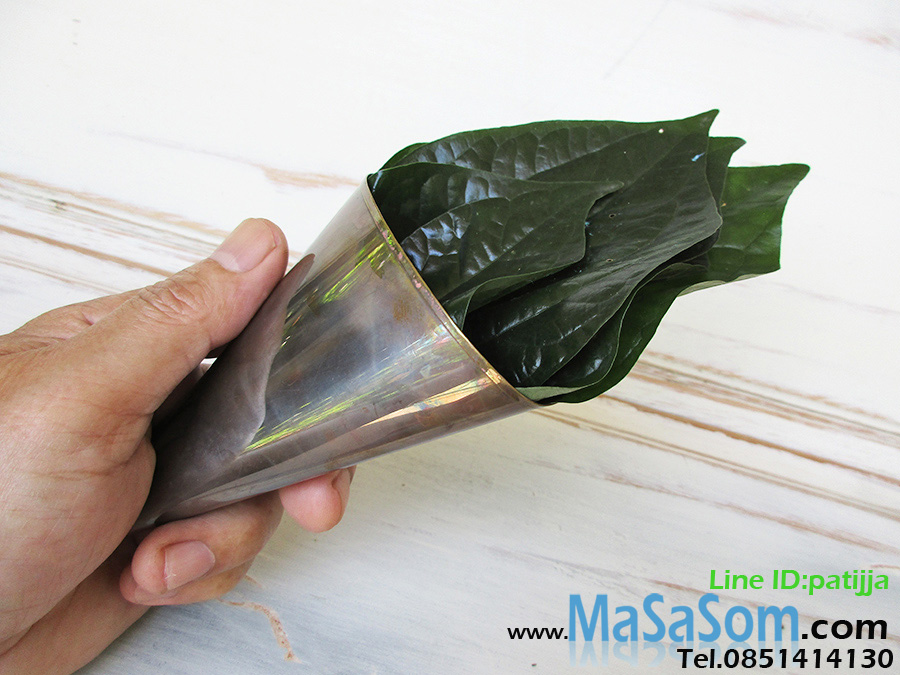 ซองพลูทองเหลือง