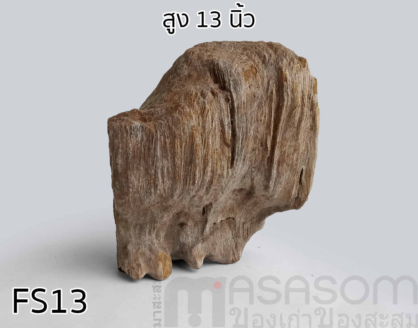 ฟอสซิลไม้กลายเป็นหิน (Petrified Wood)