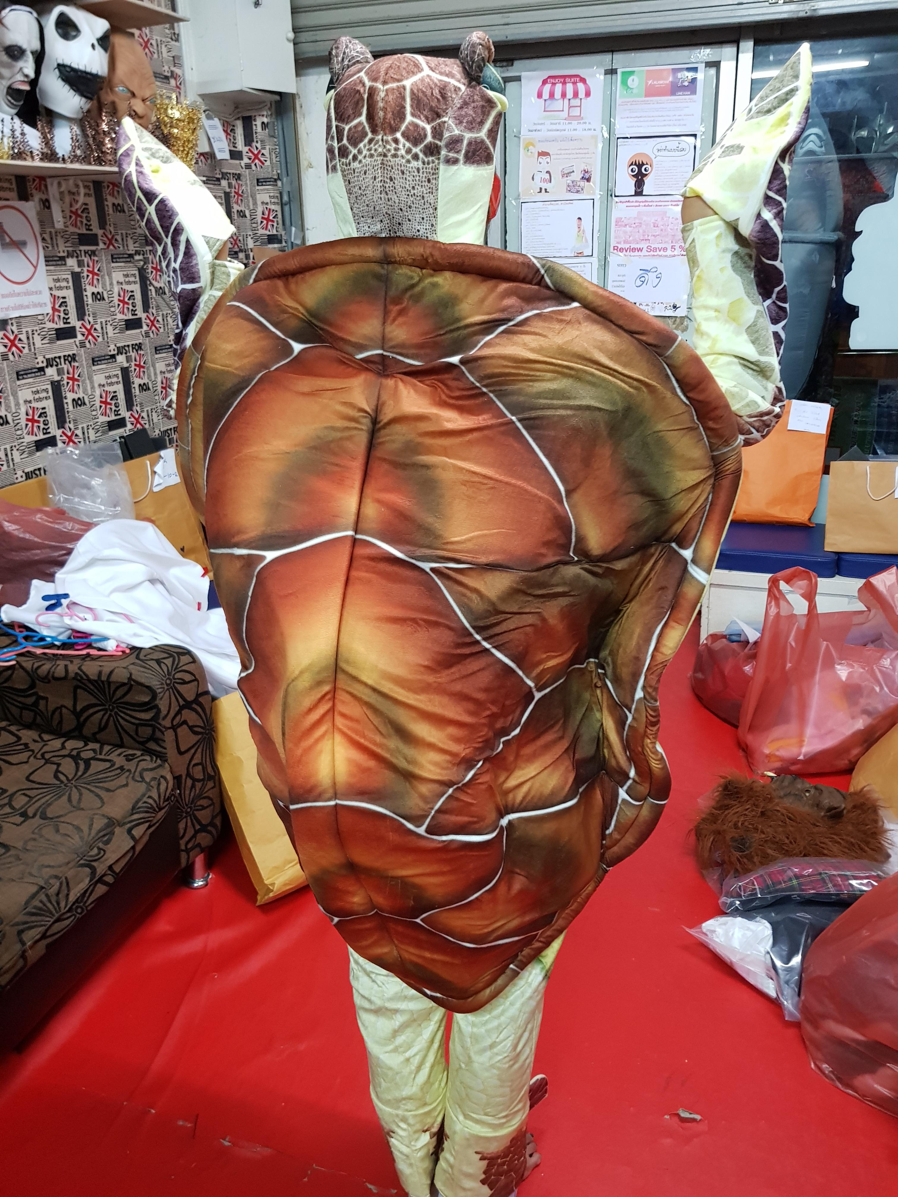 ชุดเต่าตนุ