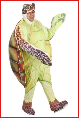 ชุดเต่าตนุ