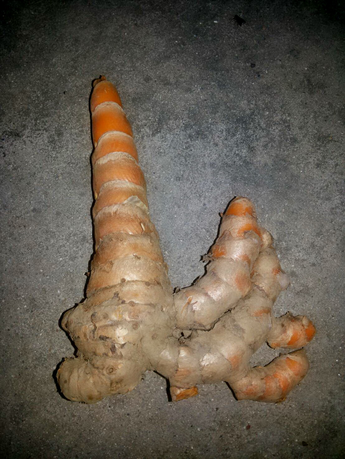 ขมิ้นอ้อย