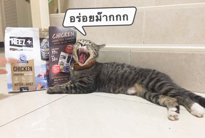 NEEZ+อาหารแมว นีซพลัส เกรนฟรี พรีเมี่ยมสำหรับน้องแมว 🐥สูตรแมวใหญ่ 1 กิโล 250.- เหมาะกับแมวโต อายุ 4 เดือน-12 ปี (ฟรีส่ง)