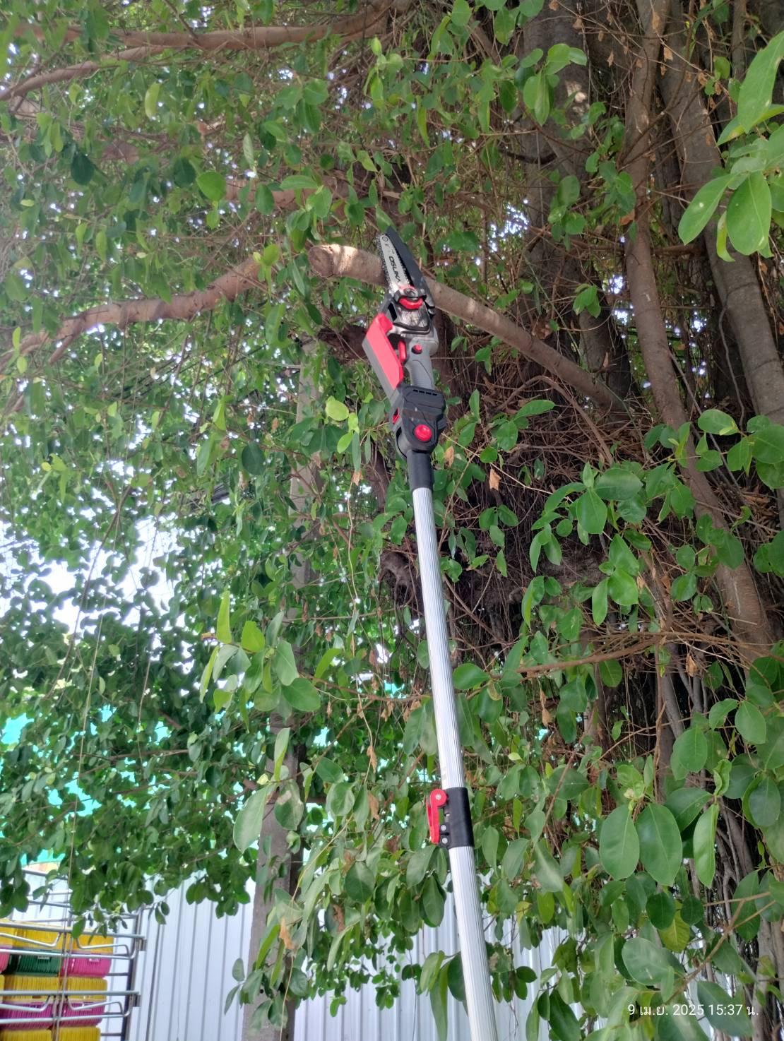 เลื่อยตัดแต่งกิ่งสูงไร้สาย 20V OCPS427-D1 OSUKA