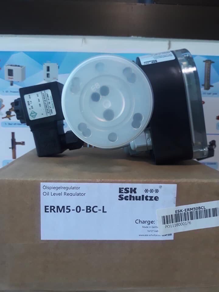 Electronic oil level regulator