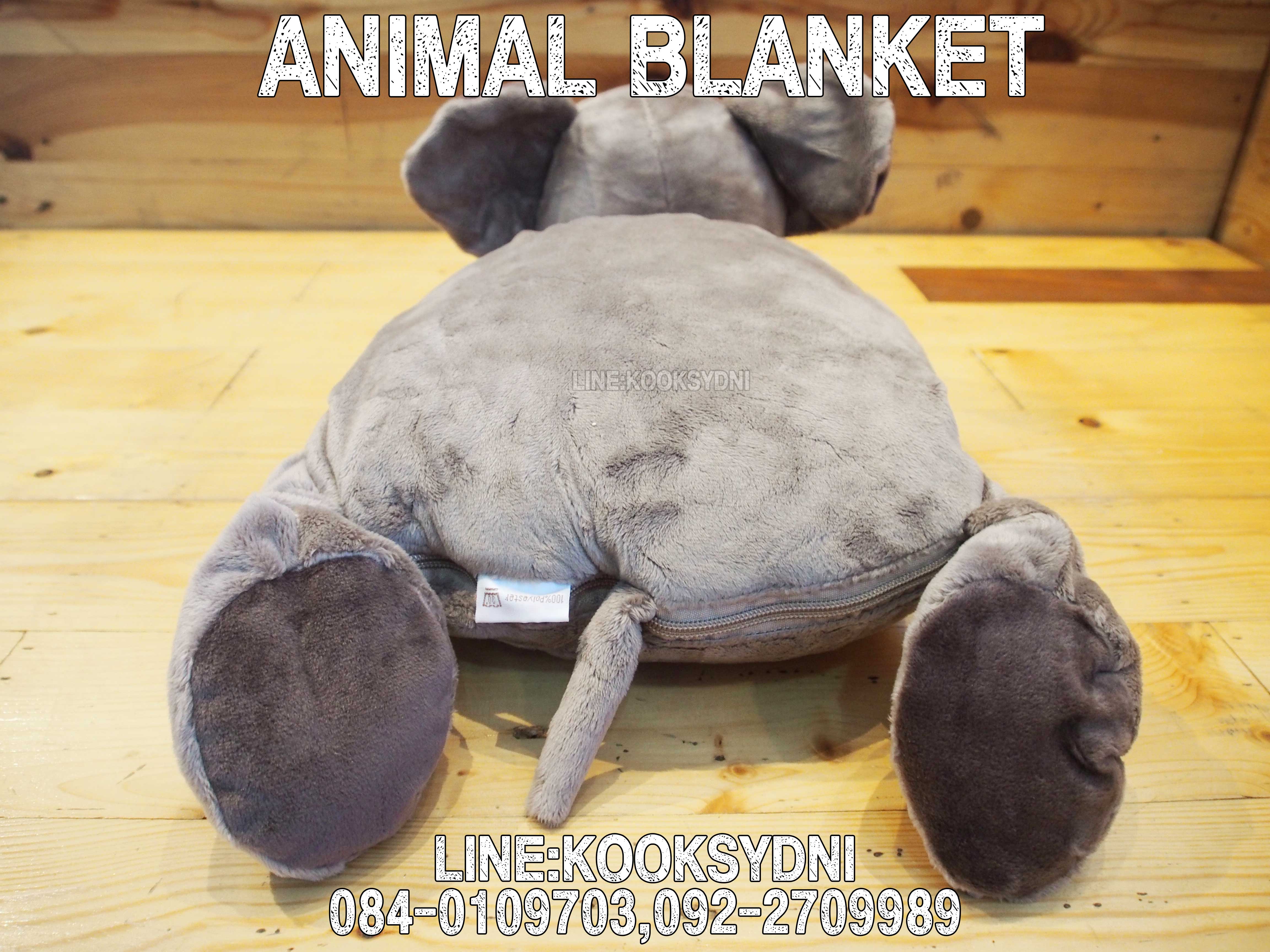 ANIMAL BLANKET ช้างช้างช้าง