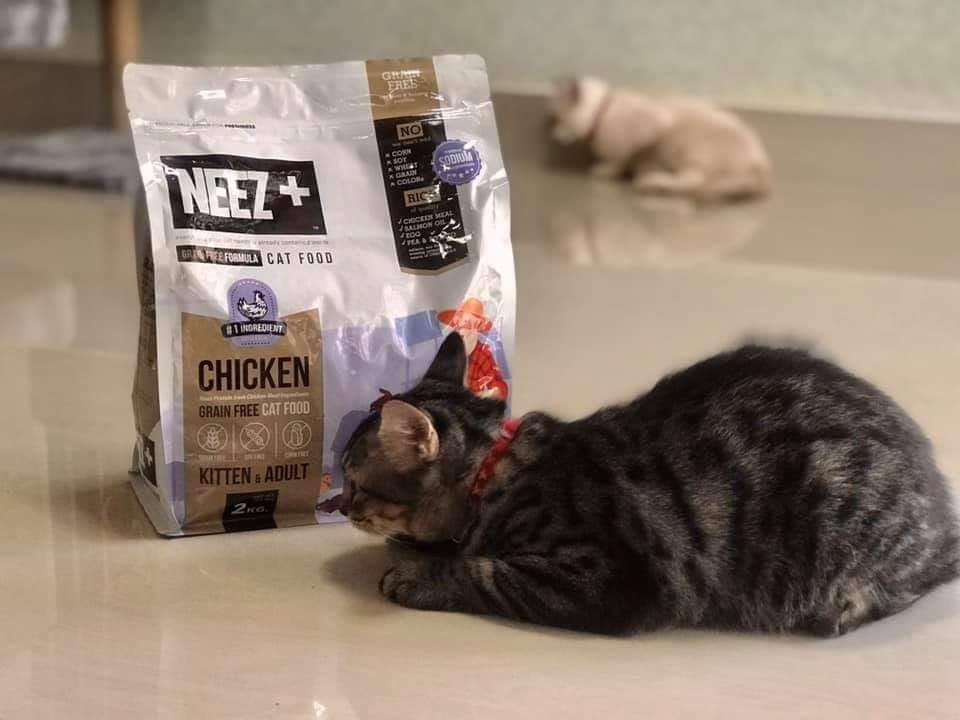 NEEZ+อาหารแมว นีซพลัส เกรนฟรี พรีเมี่ยมสำหรับน้องแมว 🐥สูตรแมวใหญ่ 10 กิโล 1950.- เหมาะกับแมวโต อายุ 4 เดือน-12 ปี (ฟรีส่ง)