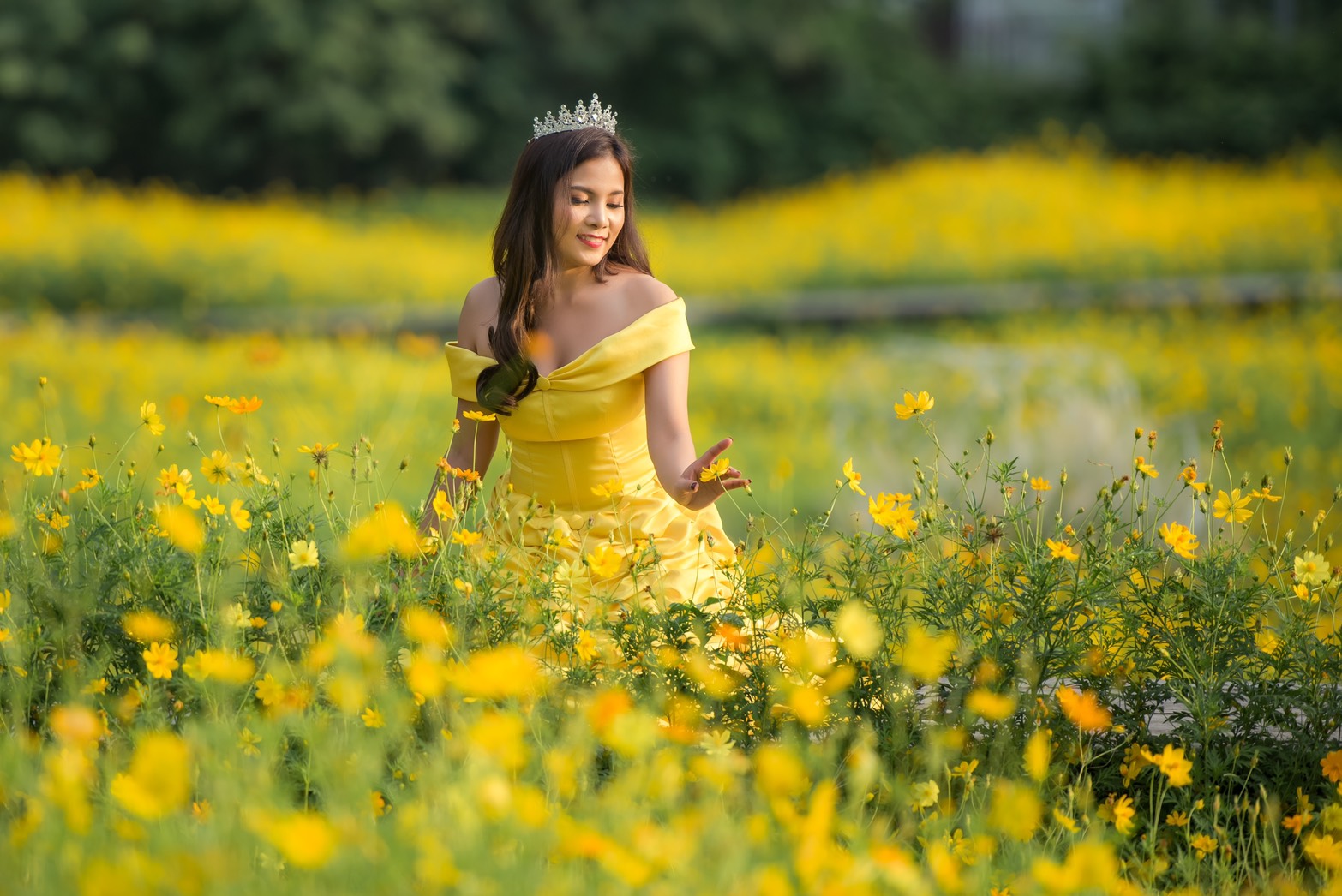 ชุดเจ้าหญิงเบล @ Beauty & the Beast